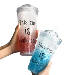 Cups Saucers Ins Summer Juice Anti-fall Drinkware Plastic 450ml Water Cup Handy Home Office Girl Gift Wholesale Drop Shopping Healthy J17