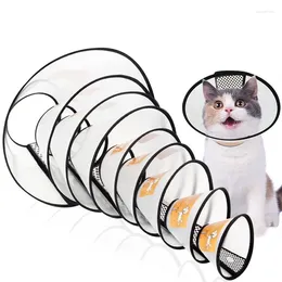 Copertina per gatti Collari per gatti Elizabeth Pet Collar Anti Lick Scratch Beauty Protective Forniture