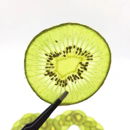 Decorative Flowers 5pcs Pressed Dried Kiwi Slices Fruit Plant Herbarium For Jewelry Postcard Invitation Card Phone Case Bookmark Making DIY