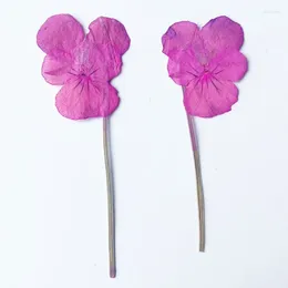 Dekorative Blumen Viola Rose rosa natürlicher getrockneter Blumenstrauß für Nagelkunst 40pcs Feee Sendung