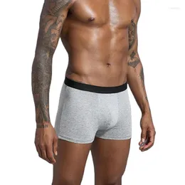 Outdoor Bags Wholesale Custom Modal Breathable Comfortable Cotton Boxer Briefs For Men U Convex Men'S Clothing Underwear Solid Color Short