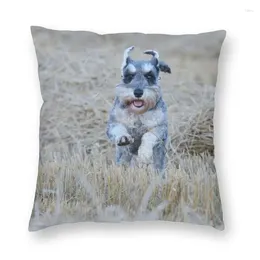 Cuscino carino cucciolo di cucciolo schnauzer in miniatura divano soggiorno per cani copertina quadrata di animali 40x40cm