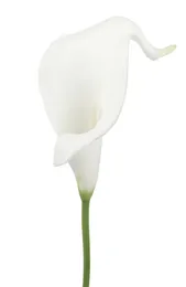 10 head White Calla Lily artificiale matrice per matrimoni da sposa bouquet testa latex reale touch decorazione di nozze di fiori artificiale8608154