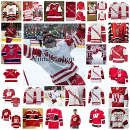 Vin 2022 NCAA Wisconsin Badgers Dikişli Hokey Forması 6 Peter Tischke 1 Jack Berry 20 Josh Ess 20 Gary Suter 25 Bruce Sürücü 22 Max Zimmer