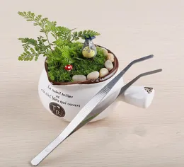 Rak böj rostfritt stål pincett mossa mikro landskap ornament special trädgårdsverktyg diy zakka fairy trädgård bonsai hantverk 1873772