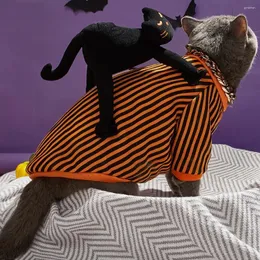 Hundklädkläder Pet Costume Black Cat Rider Style Halloween med Chihuahua Winter Coat Disfraz Perro