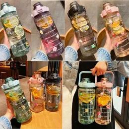 Tea Cups 2L Sports Large Capacity Stickers Water Bottle Straw Gradient Fitness Bike Cup Camping Hiking Summer Ice Cold Jug