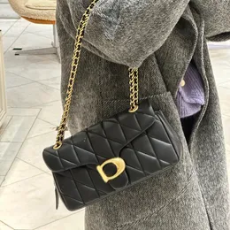 حقيبة Mini Bag Pillow Bag Bag Equilted Equilted Designer Woman Handsbag 20cm 26cm Borsa De Design Plated Gold Silver Chain White Counter Bag Flap XB129