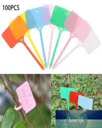 100st Colorful Plant Markers Garden Bonsai Succulent Seedings Taggar Sign Pvc Gardening Etiketter Stake On Soil Paint Sticks Dropshi1824370