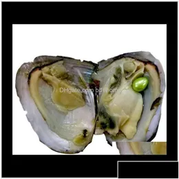 Perle Perle Lose Perlen Schmuck Drop Lieferung 2021 Großhandel gefärbte natürliche Perlen in Party in BK Open zu Hause Austern mit Vakuum p DHNDU