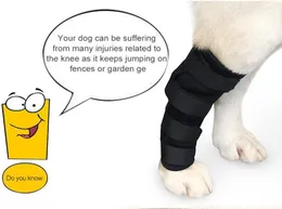 Pies Hind Nogi Brace Piesny Wsparcie tylnego hocka dla obrażeń stawów i ochrony przedszkodowania zagojenia ran i utrata stabilności z ARTR1165155