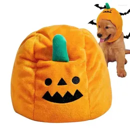 Psa odzież kot Halloween czapka oddychająca dynia