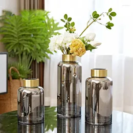 Vasos Sala de estar de vidro de estilo nórdico ikebana moderno minimalista de luxo jarrones decorativos decoração home decoração wz50hp