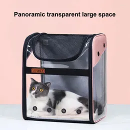 حاملات Cat Pet Carrier حقيبة اليد القطط الكلاب القابلة للطي قفص قفص بلاستيك يحمل أكياس الحيوانات الأليفة إمدادات SAC DE TRANSPAR