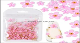 Dekoracje gwóźdź Salon Health Beauty 2Gbag 3D Flower Biżuteria mieszana stalowa piłka do profesjonalnych akcesoriów DIY 7192264