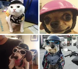 Ganze Haustiere Helme Riding Cap gutaussehende Biker Hut Abs Doggie Welpe Motorrad Schutz für Sportarten schöne Hundekatze Kostüme S36031314