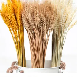 Decorative Flowers 50Pcs Real Wheat Ear Natural Dried Wholesale Artificial Christmas Decorations Sale Small For Crafts Pamp