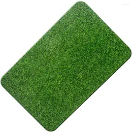 Teppiche gefälschte Gras -Haustürmatten Eingangsboden im Freien Wasserdichte Teppich Teppich Willkommen Gummi künstlicher Rasengrün feucht