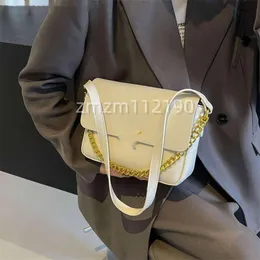 Classic Fashion Small Square Bag 2024 Spring New Trendy Shoulder Bag Classic Grand Chain Crossbody BagAE8T