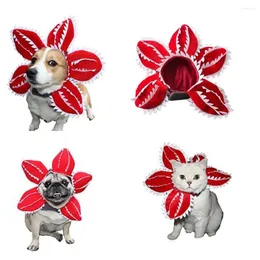 Dog Apparel Halloween Pet Hat Funny Cannibal Flower For Small Cat Comfortable Soft Polyester Winter Warm Pography Props