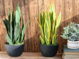 Folhas tropicais monolíticas suculentas artificiais plantas desertas sansevieria trifasciata pran home office decoração bensai10013335