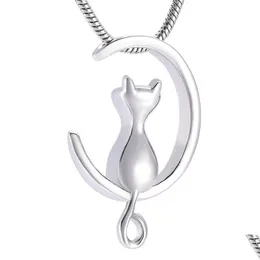 Pendanthalsband IJD10014 Moon Cat rostfri Stee Cremation Jewelry for Pet Memorial Urns Necklace Hold Ashes Keepsake Locket Jewel DHVHS