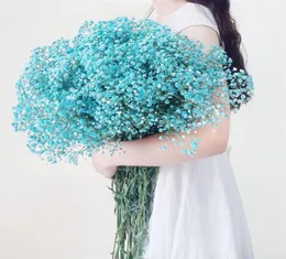 Натуральные свежие сушеные консервированные цветы Gypsophila paniculata baby039s дыхание цветочные букеты подарок для свадебного украшения дома de6128744