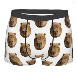 Underpants Male Capybara Face Hydrochoerus Hydrochaeris Animal Panties Man Underwear Print Shorts Boxer Briefs