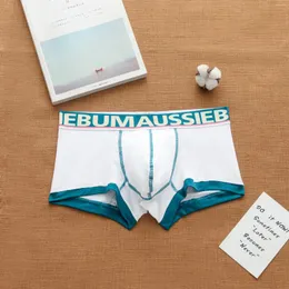 Underbyxor Bomullsmän trendiga bokstav andas och svettas absorberande unga studenter boxare Boxer Shorts Aussie Bum