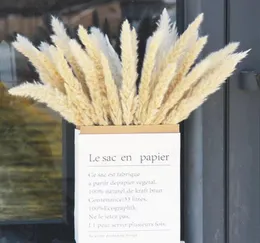 50Pcs Dried Small Pampas Grass reeds Flowers Pantas Artificial Para Decoracion Real Plants Home Decor Wedding Decoration2263574