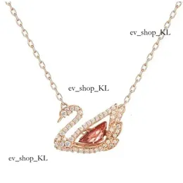 Jóias de jóias de jóias Colares de cisne de jóias Mulher cisne de ouro batendo o gradiente de coração Pingente de diamante Swarovski colar Express sua caixa de presente de amor 44