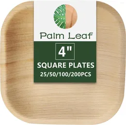 Loucaria de jantar descartável 25/50/10/200pcs placas de folha de palmeira de 4 polegadas de 4 polegadas de bambu pequeno e ecológico