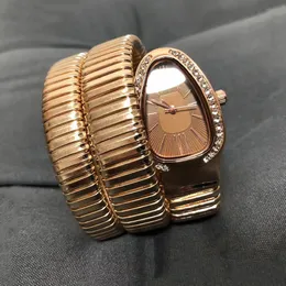 Neue Frauen Luxus Uhr Quarz Damen Gold Uhr Uhr hochwertige 32 -mm -Legierung Silber Uhrenstrap Diamant Lünette Casual Moderne Kleid Fashion Schlange Armke