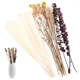 Flores decorativas 34 PCs Decoração de buquê Pampas Vaso de grama preservada Reed domy DIY Adereços eternos pamposgrass seco