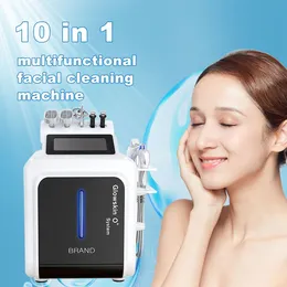 10 in 1 Facial Dermabrasion 피부 회춘 물 산소 제트 페이스 케어를위한 미용 기계