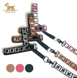 Dog Collars Leashes 3 Colors ff Luxury Leash2 Pieace LeashセットアップグレードコラーSmall S Puppy Chihuahua Poodle Corgi Pug T2212121083944