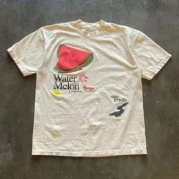 Летняя модная ретро -мужская футболка Fun Fruit Print Tops Хлопковая короткая рукава повседневная женская уличная одежда круглая шея футболки 240510