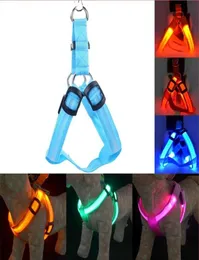 Färgglada LED Pet Dog Puppy Cat Kitten Soft Glossy Reflective Collar Harness Safety Buckle Pet Supplies Products DHL 6935598