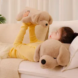 カワイイ犬のぬいぐるみかわいい子犬ぬいぐるみ動物のぬいぐるみ枕のおもちゃヒン枕ソフトギフト女の子の睡眠玩具