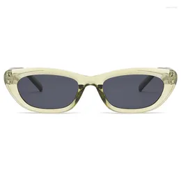 Sonnenbrille Cat Eye Frau Retro Driving Brille einfache lässige Nieten Design Sonnenbrille für weibliche Spiegel UV400