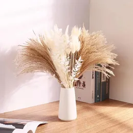 Dekoratif çiçekler pampas çim kurutulmuş buket 100pcs doğal kahverengi beyaz kabarık boho ev dekor düğün çiçek modern yatak odası ta