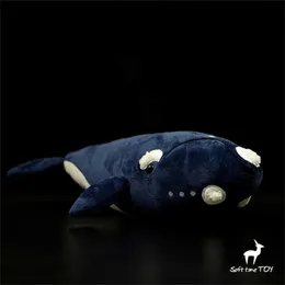 Animais de pelúcia de pelúcia de baleia preta direita High Fidelity Animação de camelo Bowhead Toy Life Simulação Animal enchendo Kawai Doll Q240515