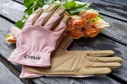 Gardening Garden Gloves Kvinnor Arbetar Cut Resistant Leather Working Yard Weeding Digging Pruning Pink Ladies Hands7436848