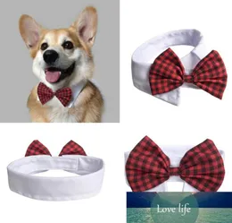 Śliczny pies pies muszki moda urocze pies kot pupy szczeniaka muszka krawat krawat krawat 5 kolorów magiczna naklejka krawat bawełniany pet szyja 4072290