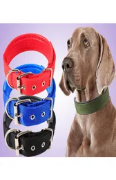 4 cores Nylon Pet Dog Colar Dogs Dogs Strap Leash Dogcollar Size SXL6965828