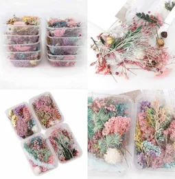 1 Box Real Dried Flower Dry Plants for Aromatherapy Candle Epoxy Harts Pendant Halsband smycken Making Craft Diy Accessories 1309 2773187