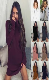 Lässige Kleider Ehuanhood Women Pullover Kleid Herbst Winter Rollkragenpullover Langarm gestrickt Mini MINI MISSIGE LOSSE FARTE