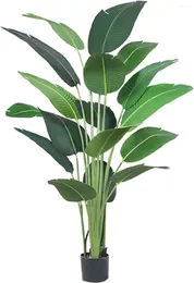 Dekorative Blumen Künstliche Pflanzen 5ft/63 gefälschte tropische Palme perfekt Faux im Topf mit schwarzem Pflanzgefäß für Home Office Decor