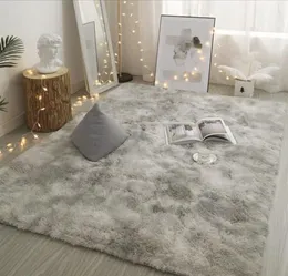 FBC19011003 Modern Nordic Style Grey Plush Soft Carpet For Living Room Tie Dyeing Antislip Floor Mats Rugs4247478