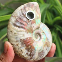 Other Home Decor 7-8Cm Natural Ammonite Smoking Pipe Conch Fossil Smoke Tube Crystal For Tobacco Gemstone Wand Arts And Crafts Reiki H Dhmzq